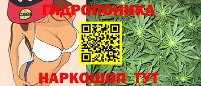 индика Комсомольск-на-Амуре