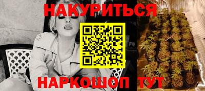 индика Комсомольск-на-Амуре