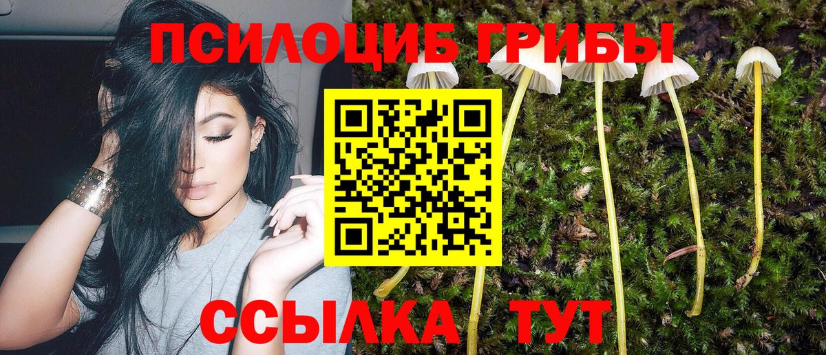 Галлюциногенные грибы ЛСД Среднеуральск